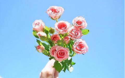 关于乐观的名言警句（积极乐观心态的名言警句）