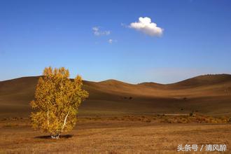 励志文言文（激励努力上进的文言文名句）