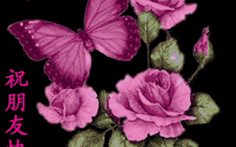 祝福别人事业上升的话（事业前景越来越好的精美句子）