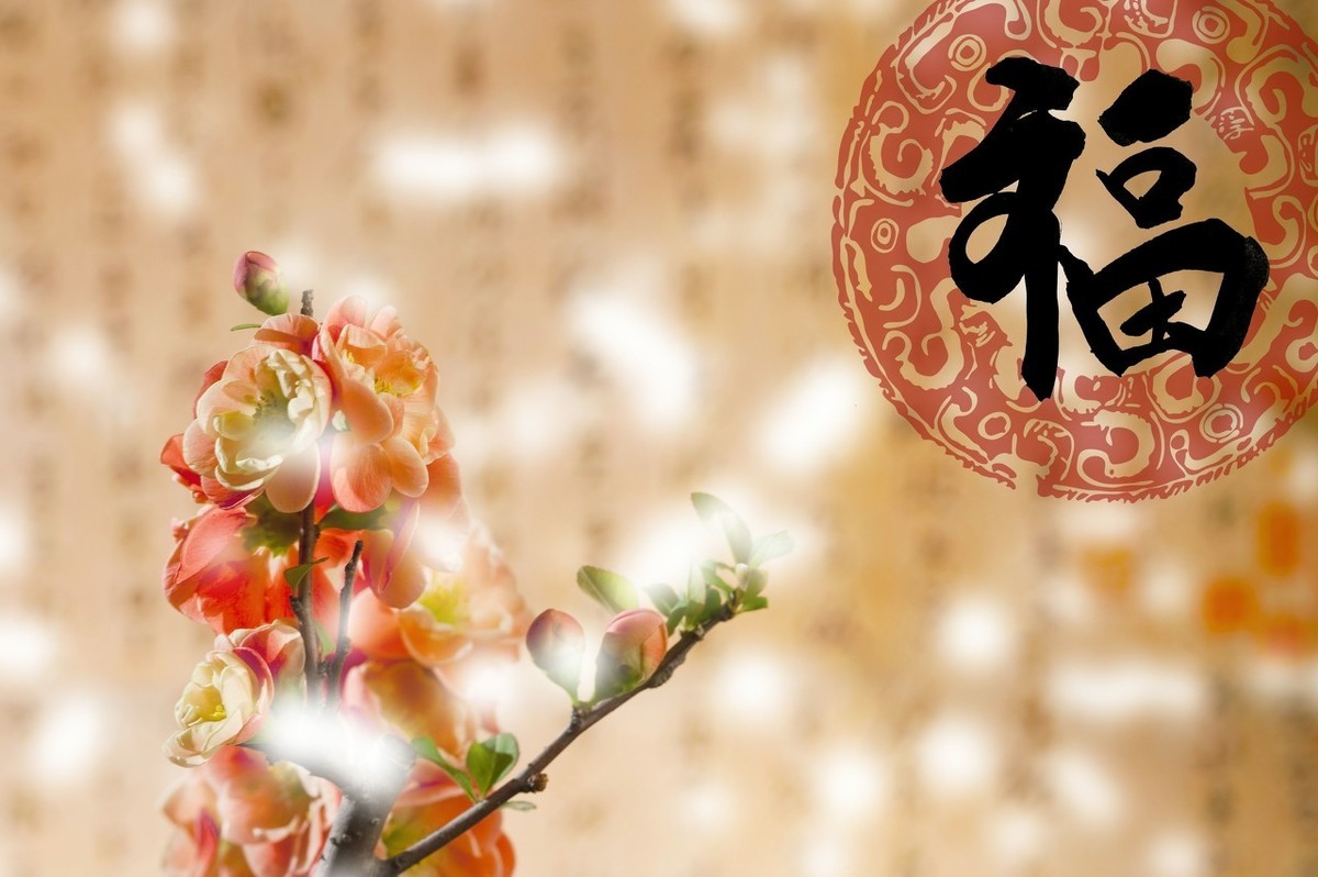 描写春节的诗句有哪些（春节古诗词分享）