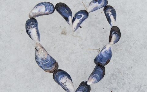 关于爱情的英文句子（最精辟的情感语录英文）