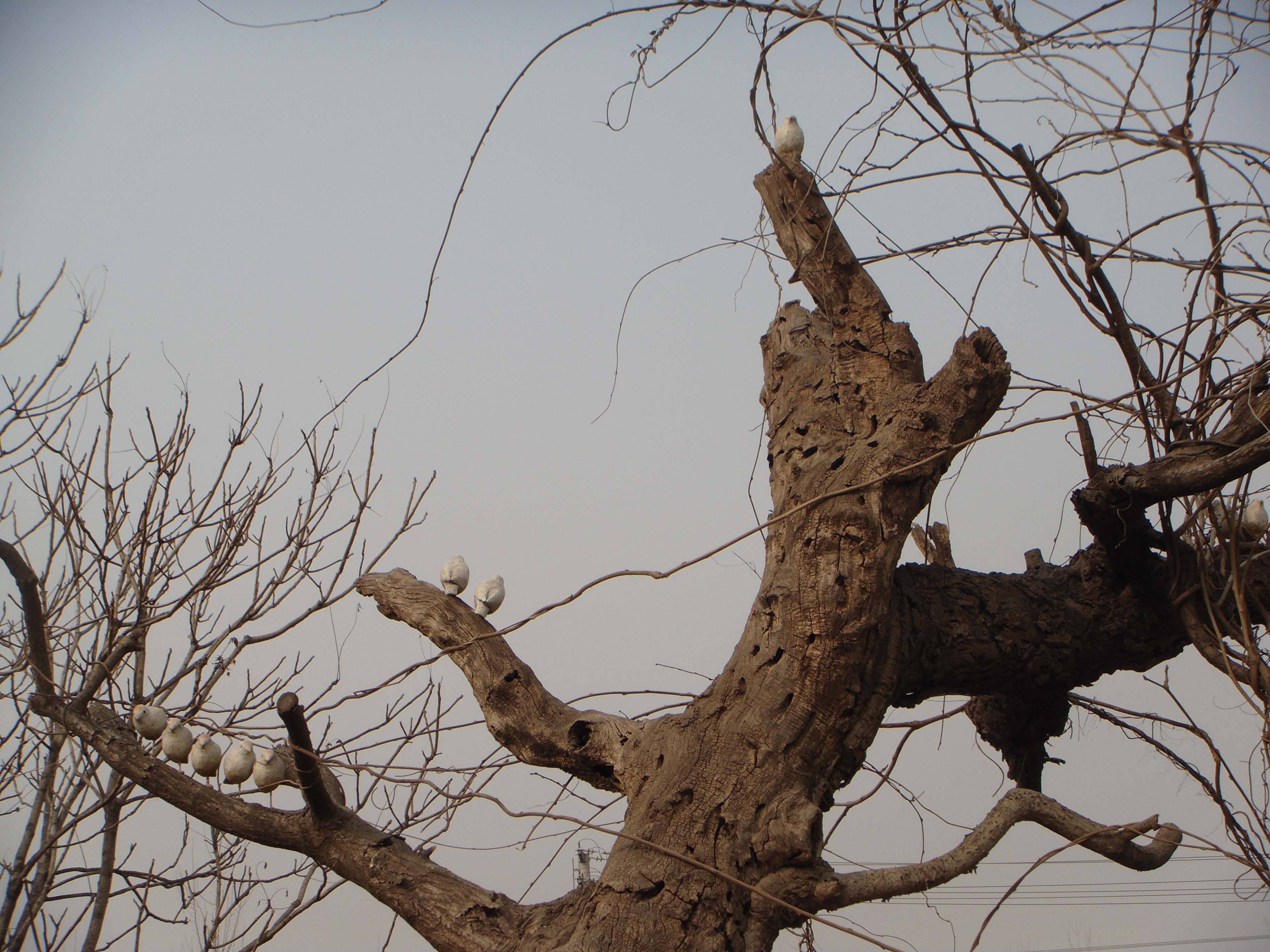 夕阳西下的意思解释（夕阳西下的寓意）