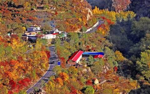 形容秋天的诗句有哪些（赞美秋天丰收的词语）