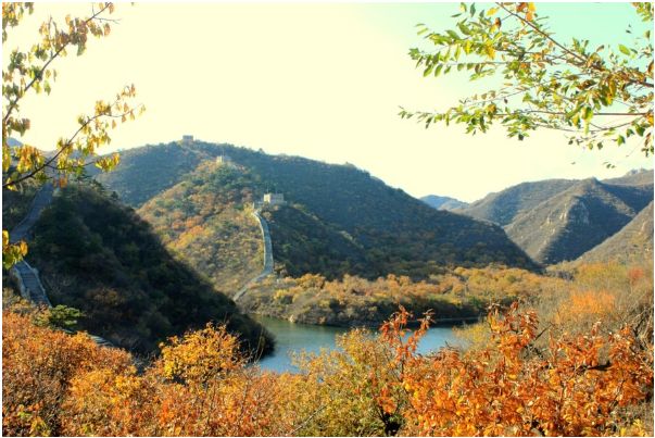 形容秋天的诗句有哪些（赞美秋天丰收的词语）