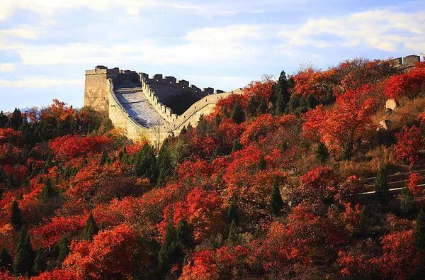 形容秋天的诗句有哪些（赞美秋天丰收的词语）