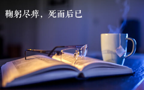 鞠躬尽瘁死而后已（鞠躬尽瘁死而后已的故事）