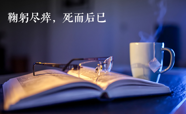 鞠躬尽瘁死而后已（鞠躬尽瘁死而后已的故事）
