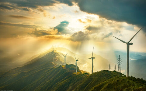 给青年的一封信摘抄（给青年的一封信摘抄好句加赏析）