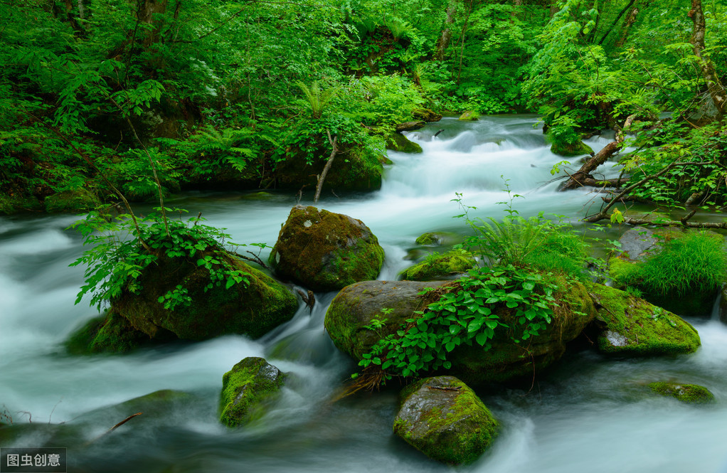 流字开头的成语有哪些（以流开头的四字词语）