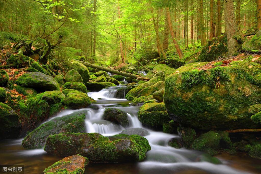 流字开头的成语有哪些（以流开头的四字词语）