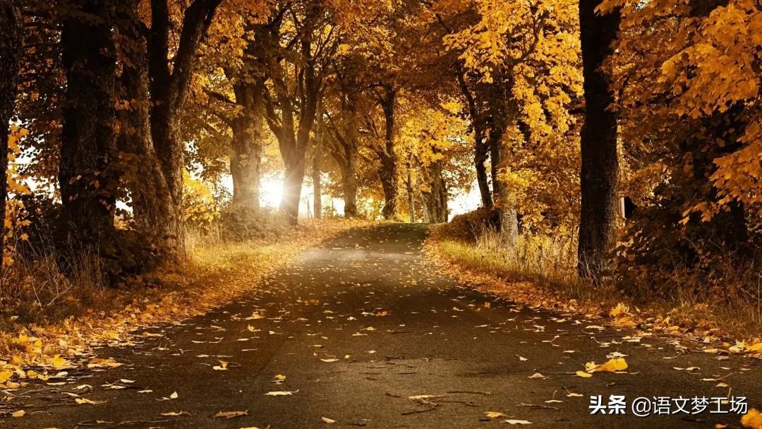 名言名句摘抄大全（优美语句摘抄分享）