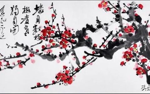 关于梅的诗句有哪些（关于梅的古诗大全）