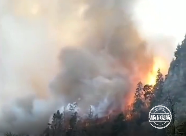 现代英雄事迹有哪些人物（平民英雄事迹的素材）