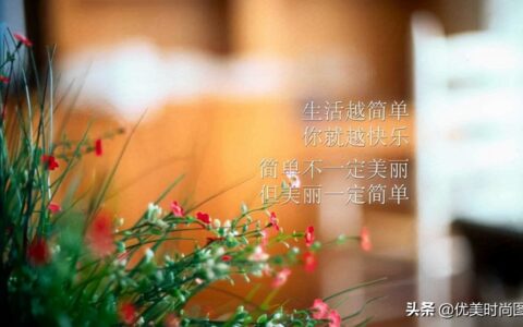 语录大全励志青春（青春激励语录经典语段）