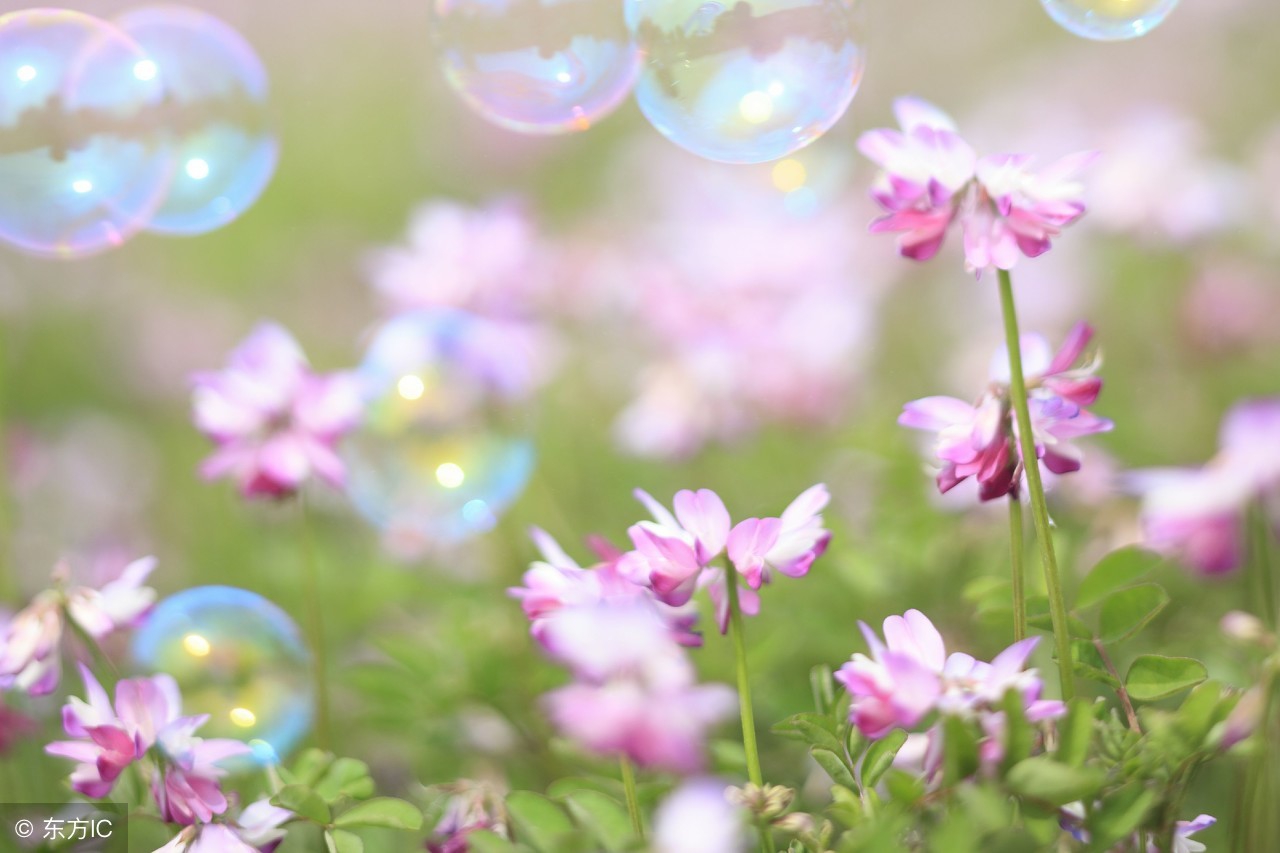 有关春天的诗歌（描写春天的现代诗歌）