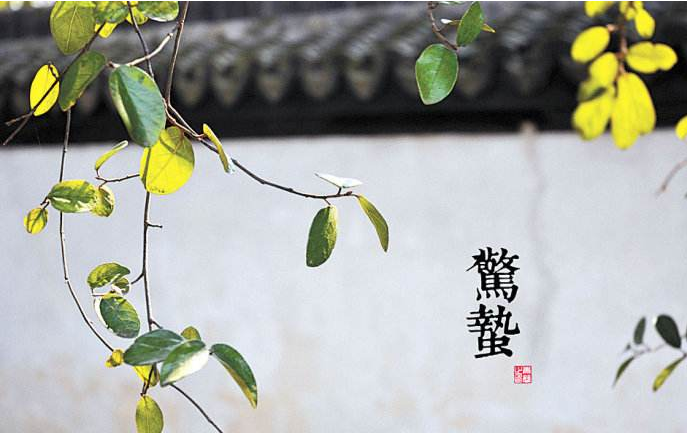 惊蛰的习俗有什么（惊蛰的来历和风俗）