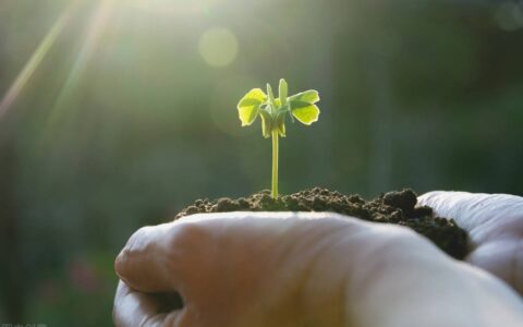 珍爱生命的名言名句有哪些（珍惜生命的名言名句和诗句）