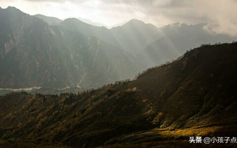 六一居士传注释（六一居士传原文及翻译）