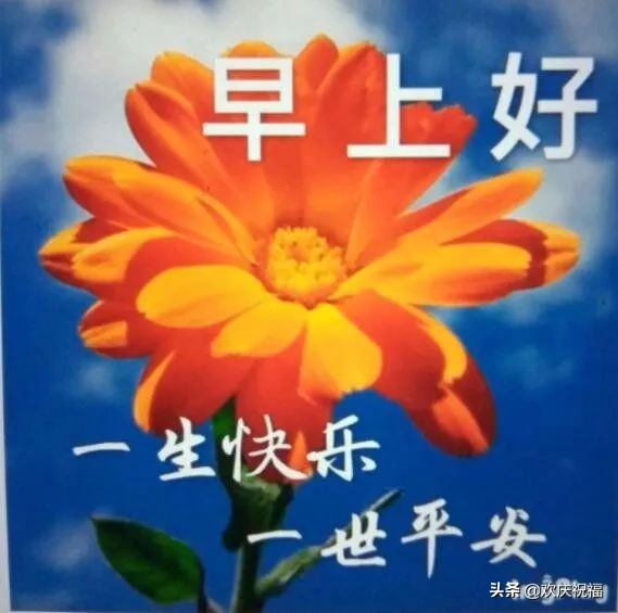 问早上好的句子和图片（最幽默的问早上好的句子）