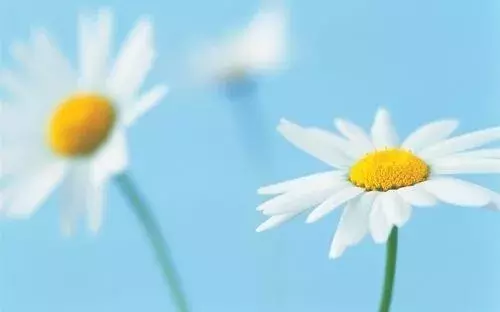 形容生活的句子唯美（生活简单精致句子）