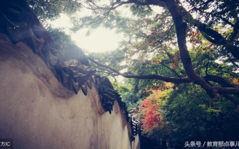 描写思乡的古诗有哪些（写景思乡的古诗）