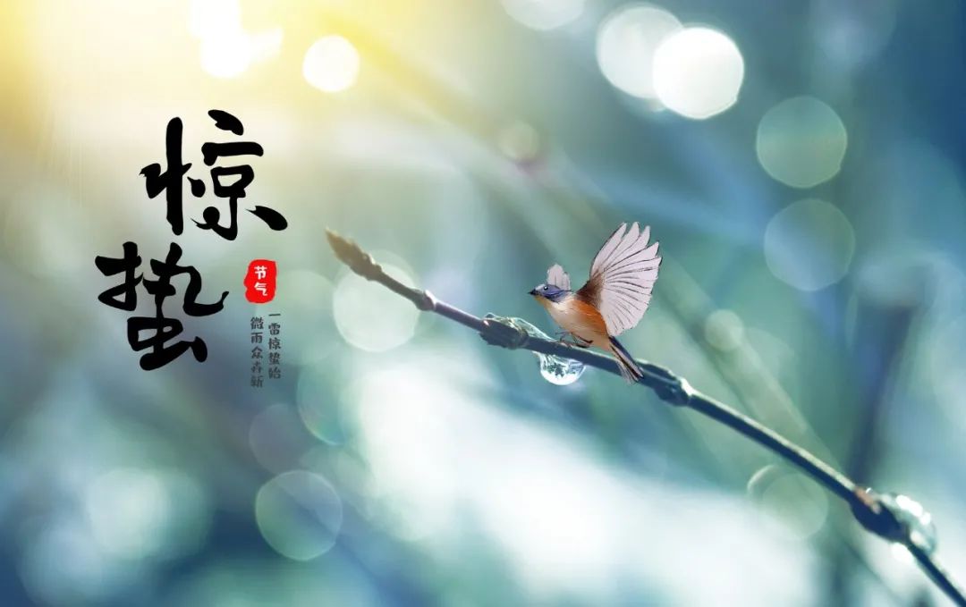 有关惊蛰的诗句古诗（描写惊蛰节气的古诗）