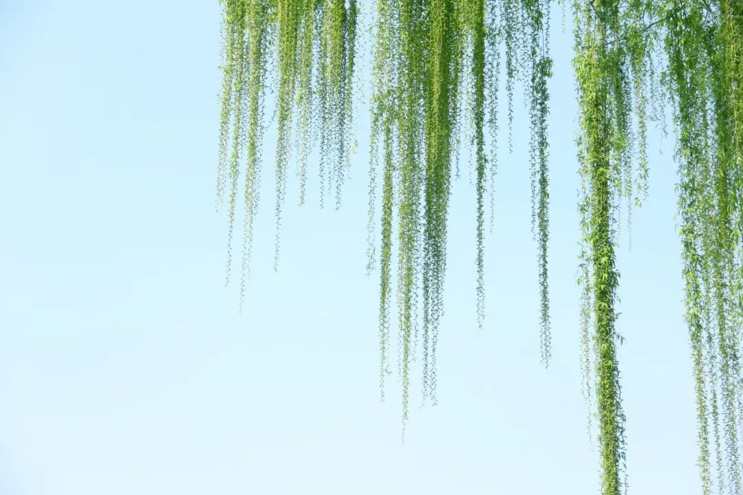 有关惊蛰的诗句古诗（描写惊蛰节气的古诗）