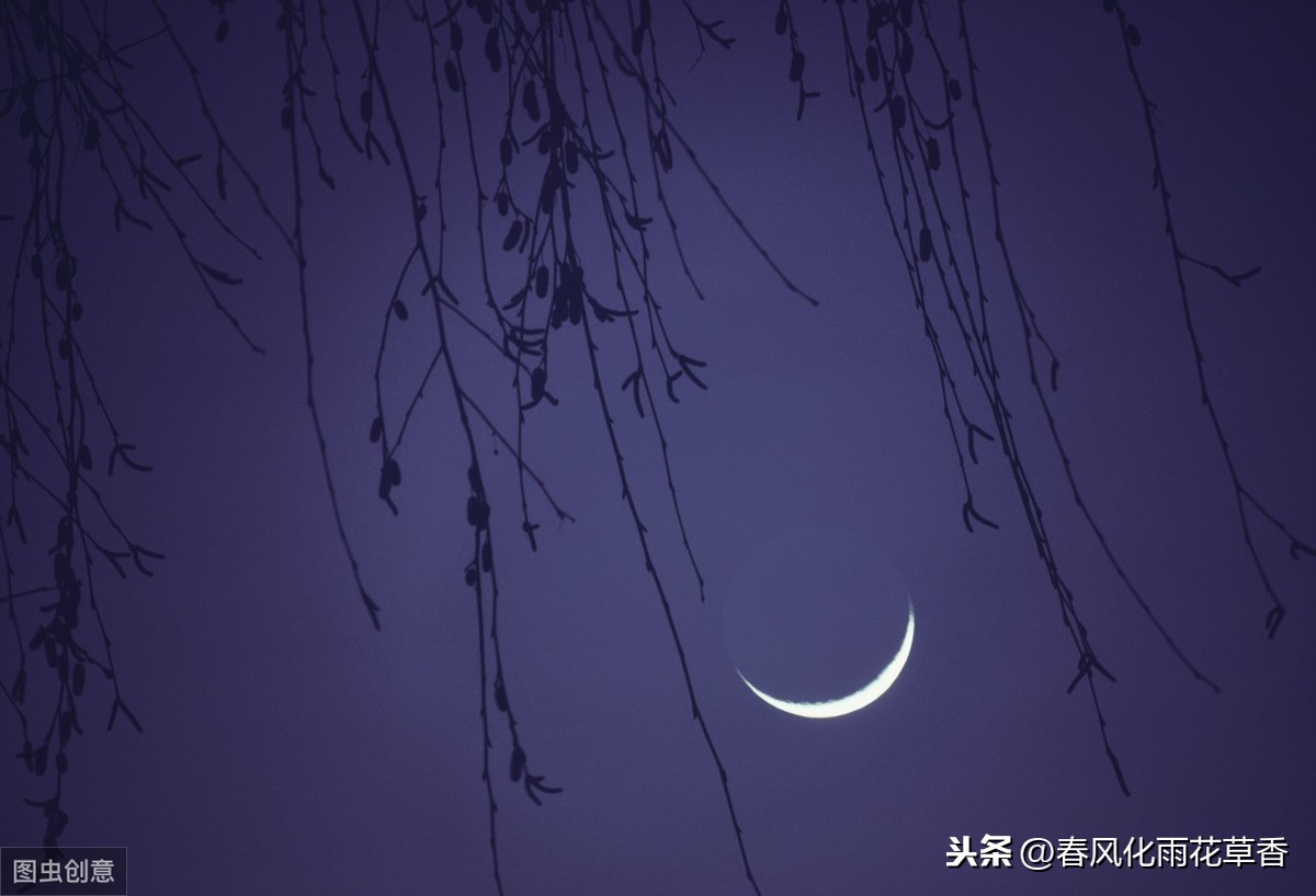 描写夜空的优美句子有哪些（坠入星河的温柔仙句）