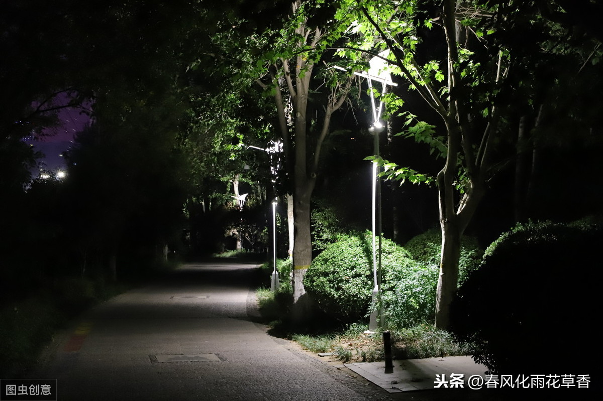 描写夜空的优美句子有哪些（坠入星河的温柔仙句）