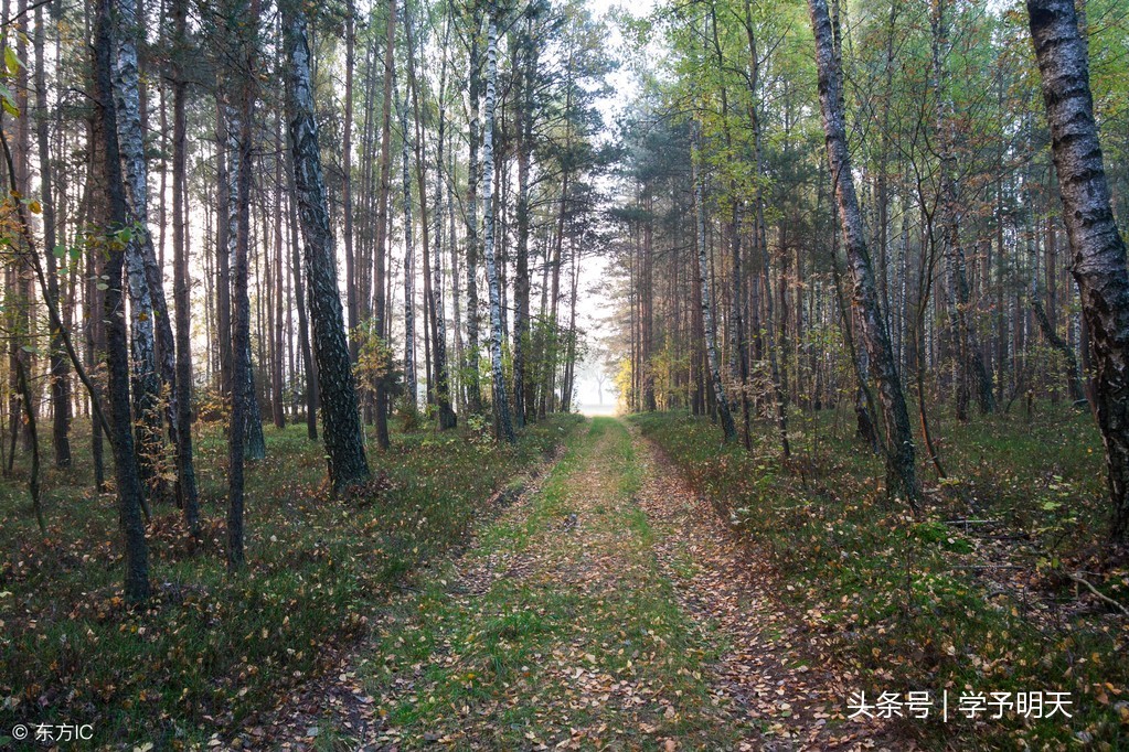 塞下曲其二古诗拼音版（拼音版注音及翻译赏析）