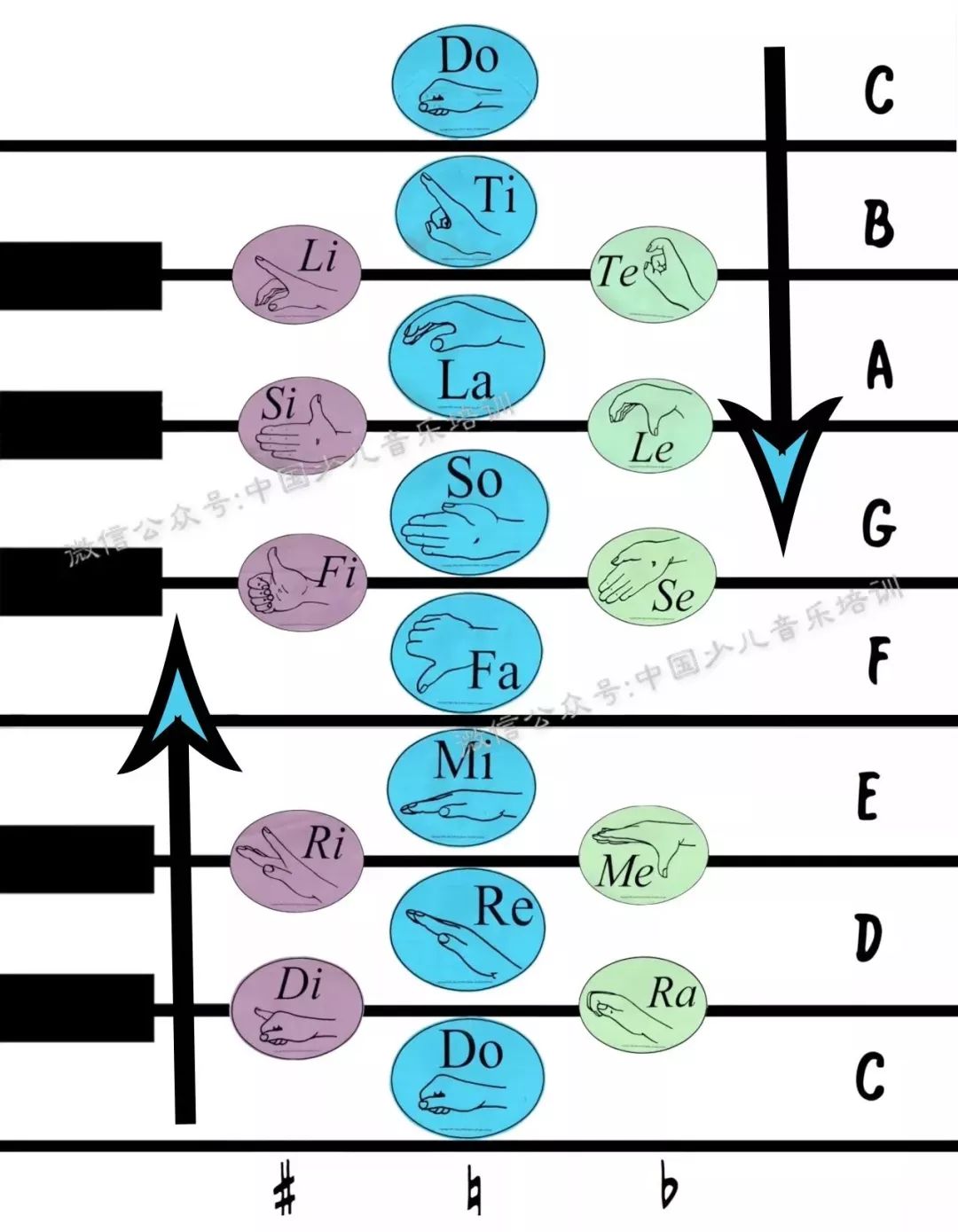 音乐教学法有哪些（最常用的3个教学法）
