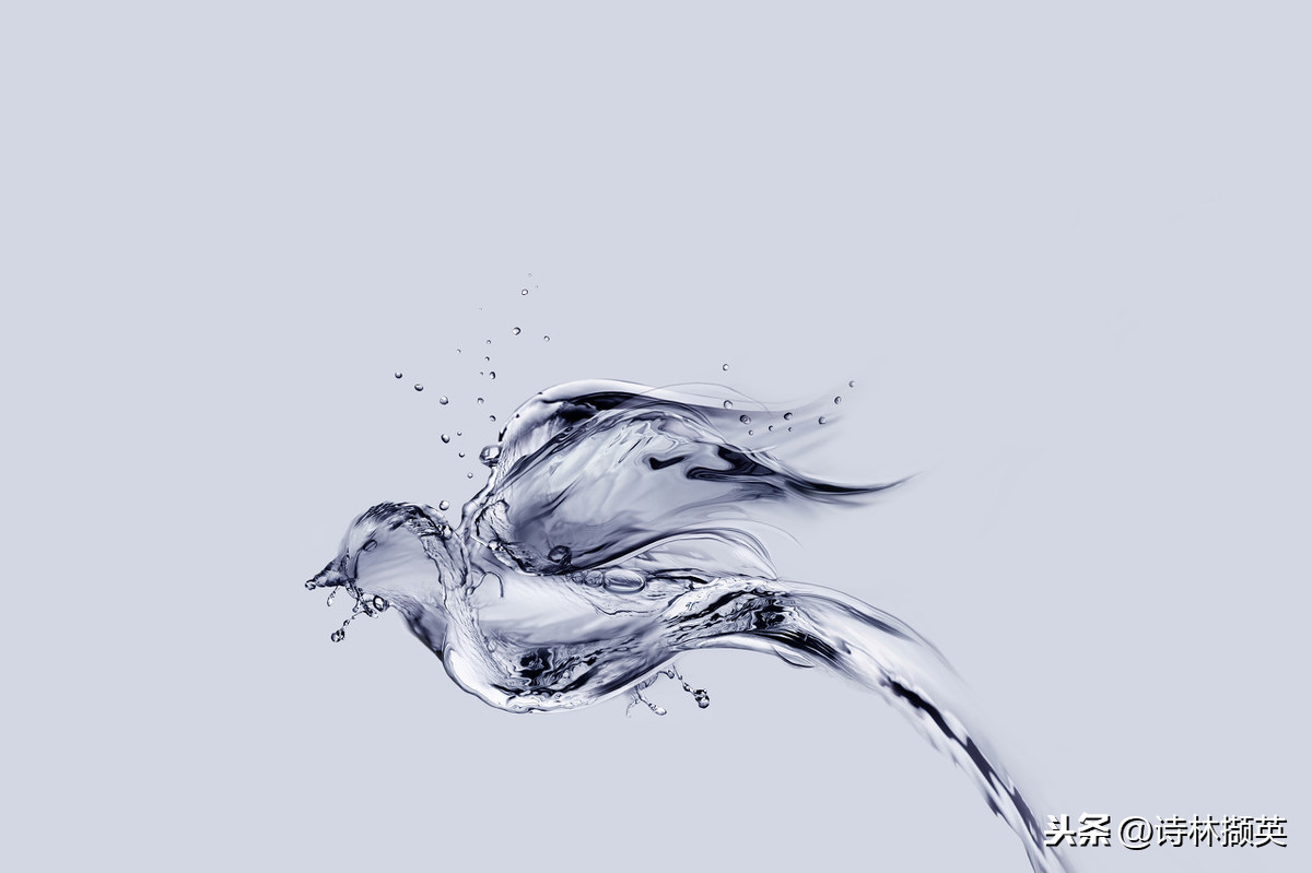 和水有关的诗句有哪些（关于水的千古名句）