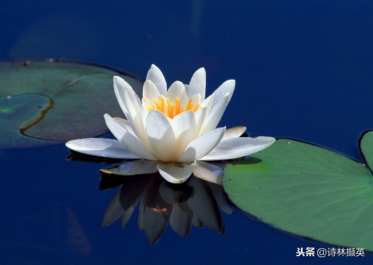 和水有关的诗句有哪些（关于水的千古名句）