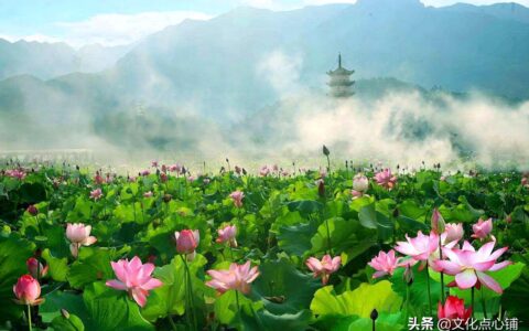 描写杭州的诗句最有名的（描写杭州美景的诗）