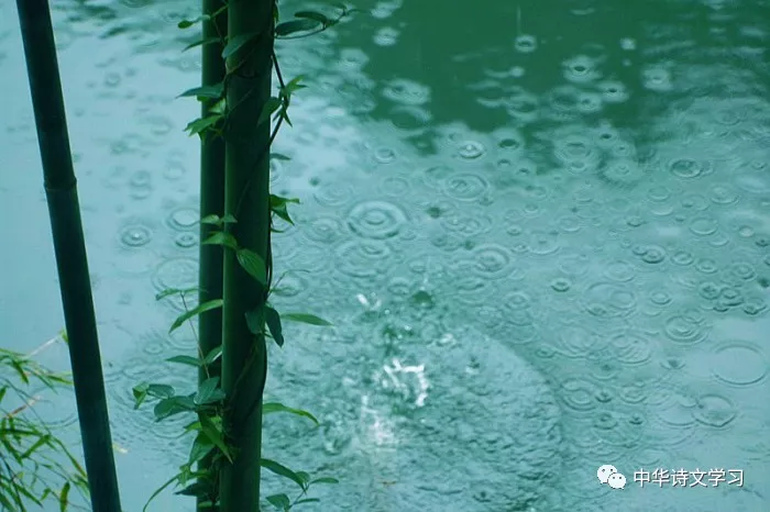 描写少年的诗句有哪些（形容少年意气风发的诗句）