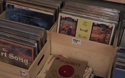 花式表白爱豆文案（表白爱豆的绝美文案）