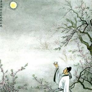 李白诗词古诗鉴赏（李白诗歌赏析鉴赏大全）
