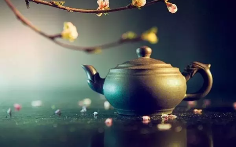 关于茶的高雅诗句（茶语静心优雅的句子）