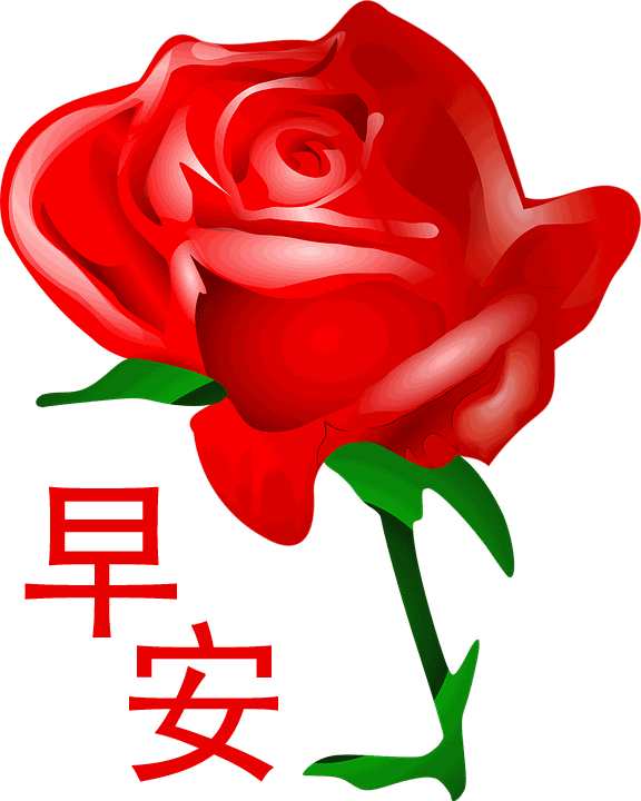 每天早上好短信问候语（一句早上好暖心的短语）