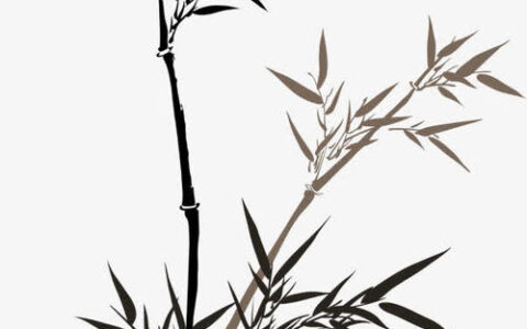 描写竹子的诗句古诗（竹子的励志句子）