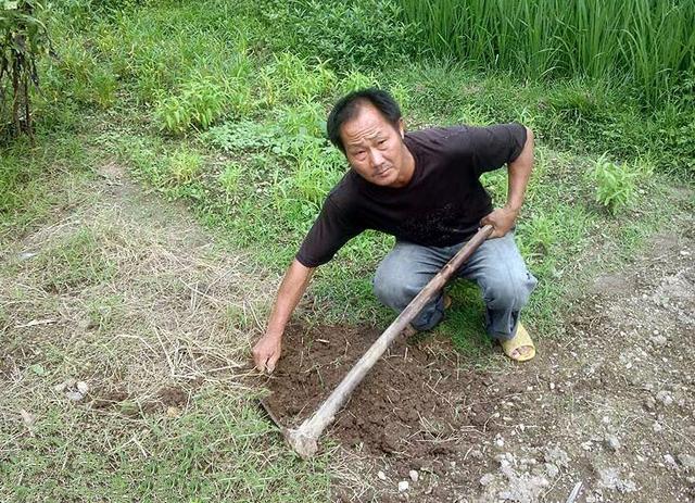 兄弟阋于墙外御其侮什么意思（兄弟阋于墙外御其侮解释）