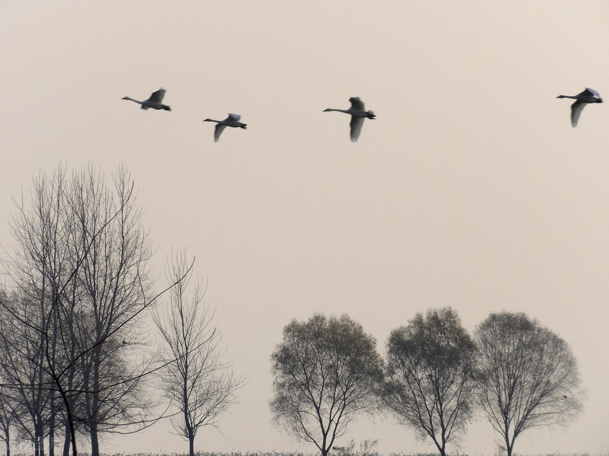 描写送别的诗有哪些（10首经典的送别诗分享）