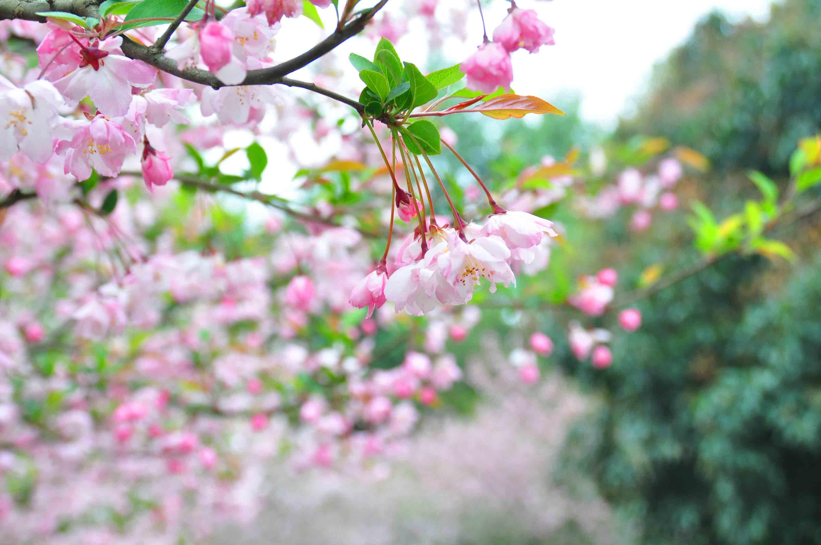 描写送别的诗有哪些（10首经典的送别诗分享）