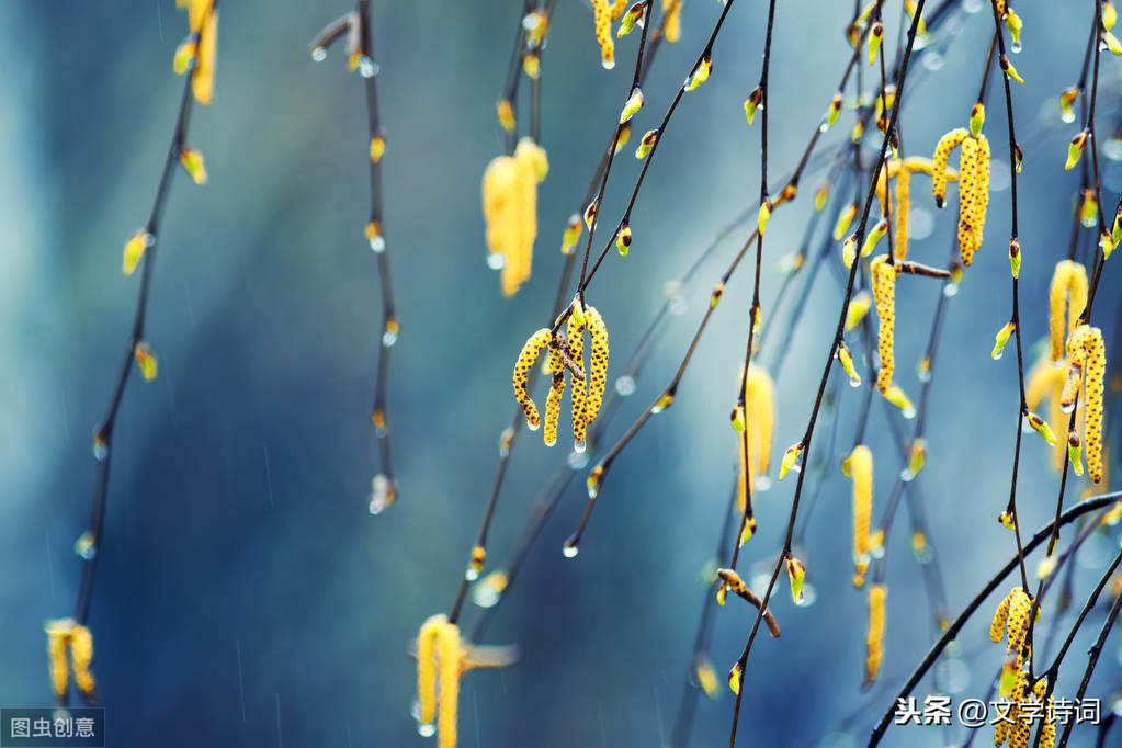 观田家古诗翻译（观田家古诗书法作品欣赏）