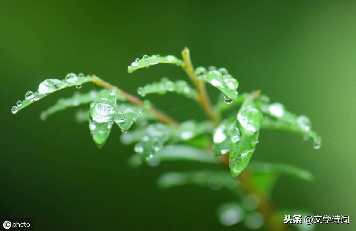 观田家古诗翻译（观田家古诗书法作品欣赏）