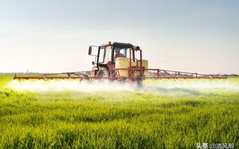 减肥语录搞笑励志（关于减肥的搞笑说说）