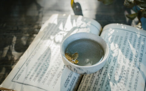 鹿柴古诗带拼音注释（鹿柴的读音全文解释）