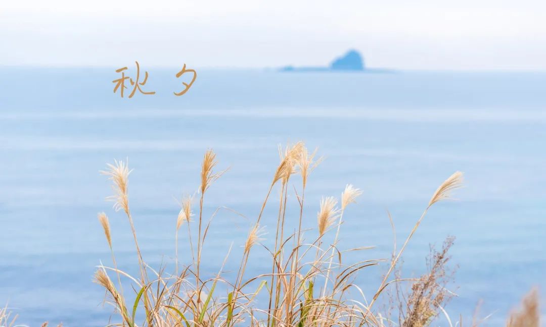 最浪漫的古诗词句（浪漫的爱情诗句分享）