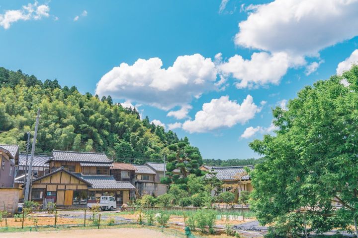 夏天美文美句（夏天的优美句子大全）
