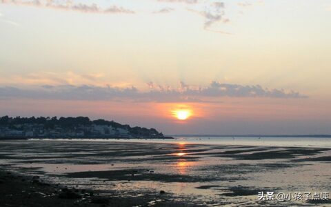 关于植物的诗句古诗大全（与植物有关的诗词名句）